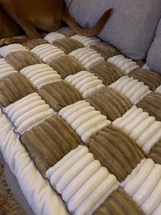 A close-up view of a green and white sofa cover.