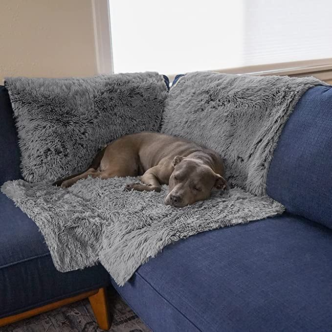 A dog happily resting on the gray seat protector, looking perfectly at ease