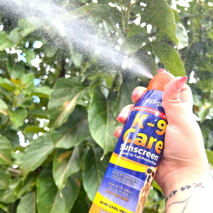 The dog-friendly sunscreen spray in action