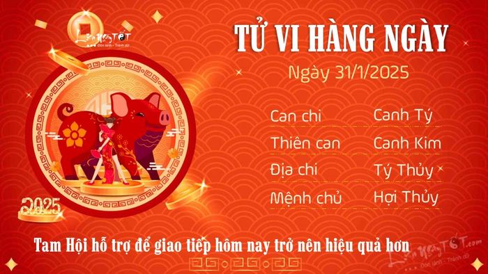 Tử vi hàng ngày 31/1/2025 của 12 con giáp - tuổi Hợi