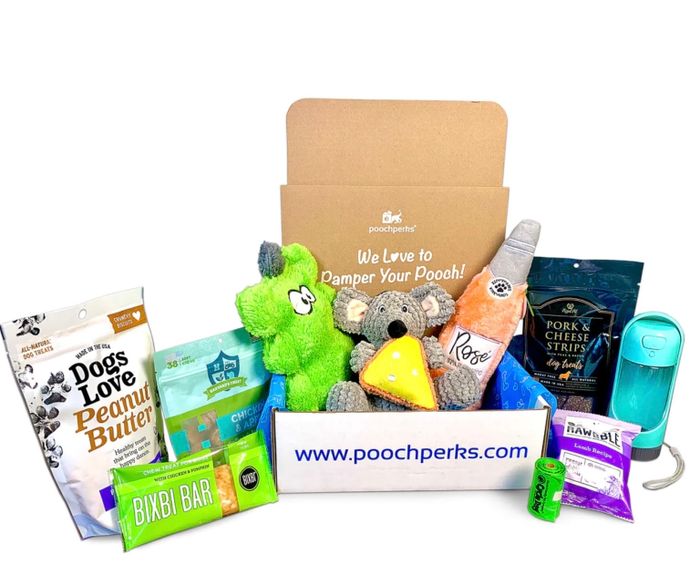 A box filled with toys, treats, and accessories for your pets