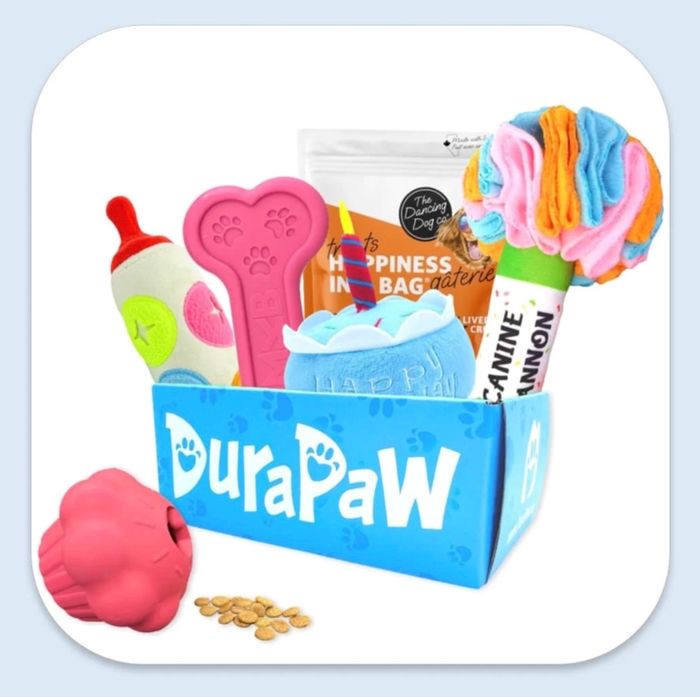 The box filled with toys and treats