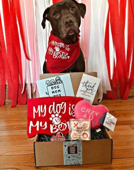 A dog beside a special Valentine's Day-themed subscription box