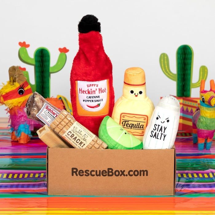A box packed with yummy treats and playful toys