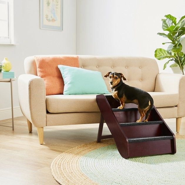 A dog using large brown stairs to hop onto a couch