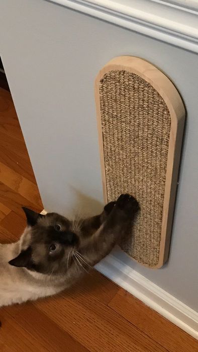 A reviewer’s siamese cat enjoying the scratching post