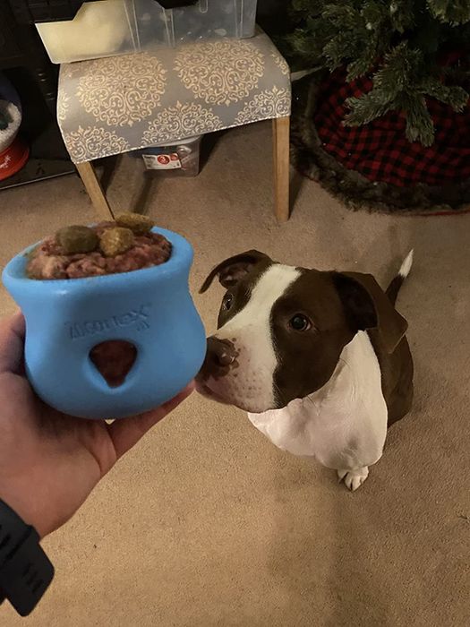 A reviewer holding a blue, curved silicone toy filled with food, while a dog watches eagerly in the background