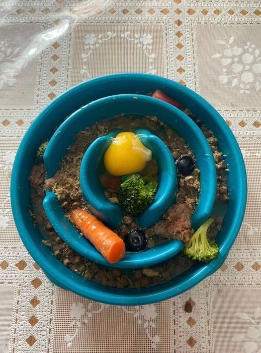 A photo of the bowl containing raw dog food