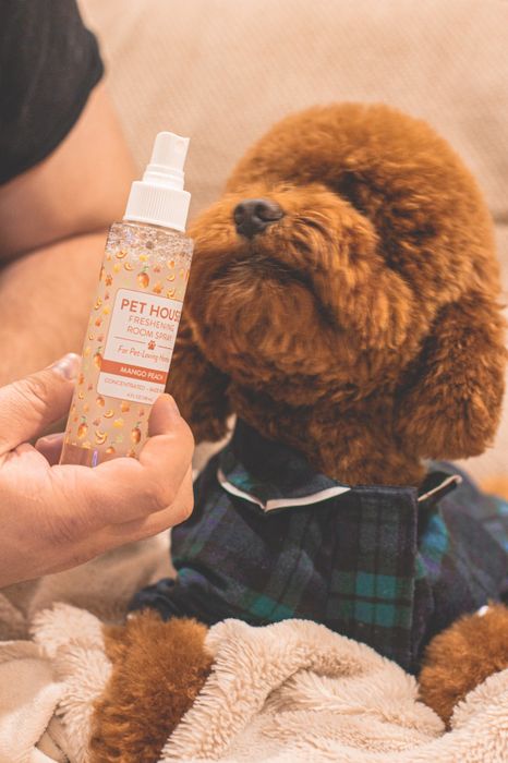 A reviewer holding a spray bottle next to their dog.
