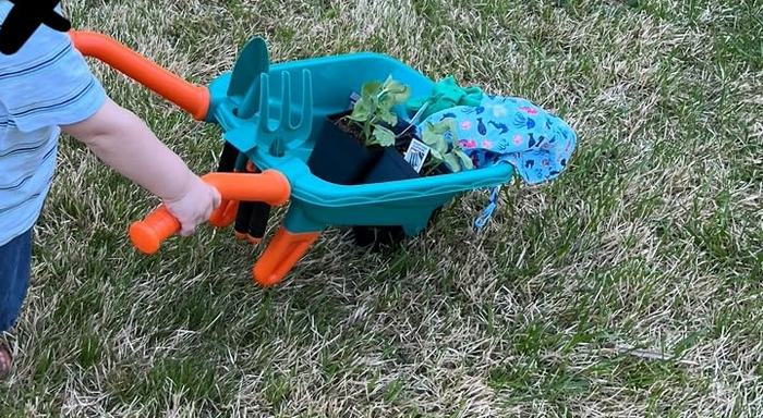 A child pushes a toy wheelbarrow filled with potted plants and gardening gloves across the lawn