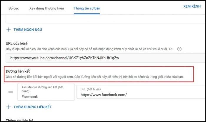Kéo xuống mục Đường liên kết để thêm các liên kết mạng xã hội vào kênh của bạn