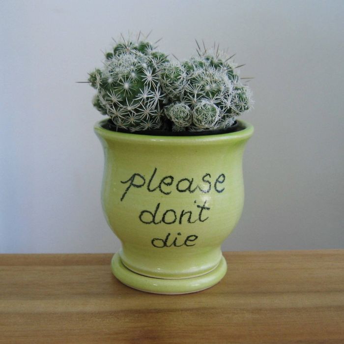 The small green planter with 