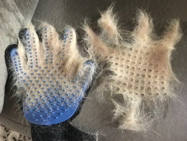 A reviewer's photo showing grooming gloves covered with fur