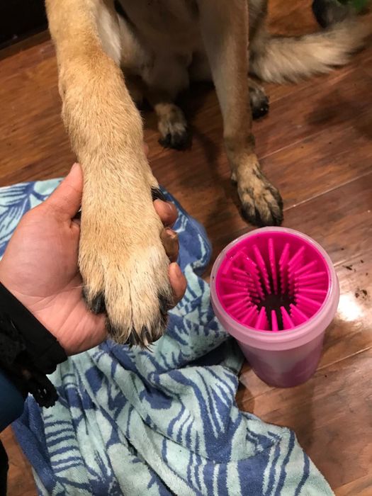 Reviewer’s photo showing a freshly cleaned paw compared to a dirty one for contrast.