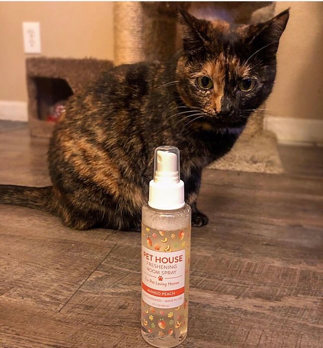 Another reviewer showing the spray bottle next to their cat.