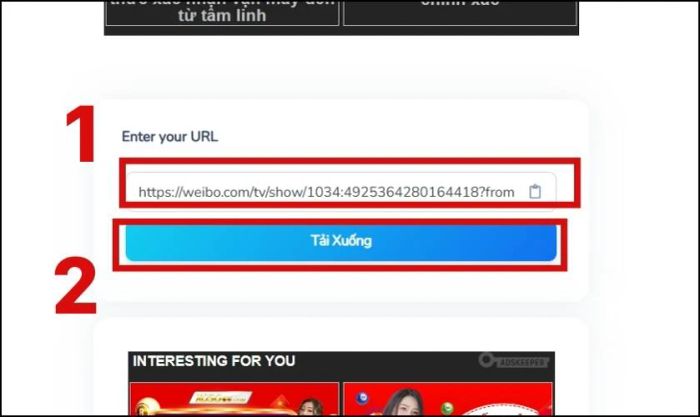 Dán đường link vào ô Enter your URL và nhấn vào tải xuống