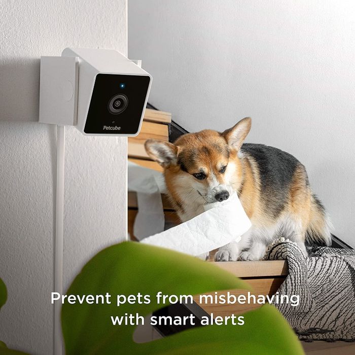 The camera mounted on the wall for easy surveillance