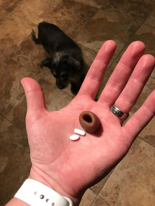 Reviewer photo of the pill pouch
