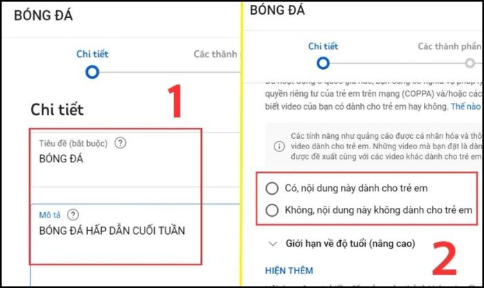 Điền Tiêu đề và Mô tả cho video ngắn của bạn
