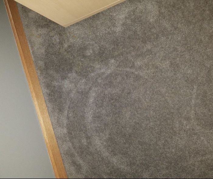 A carpet inside a home.