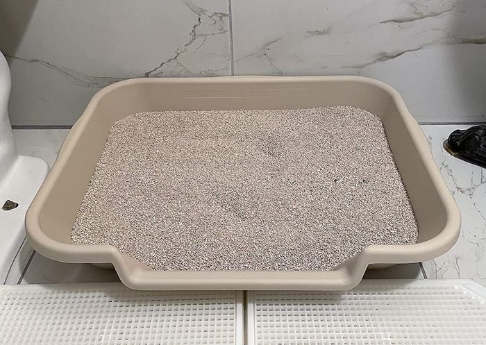 A photo from a reviewer showing the senior cat litter box in action