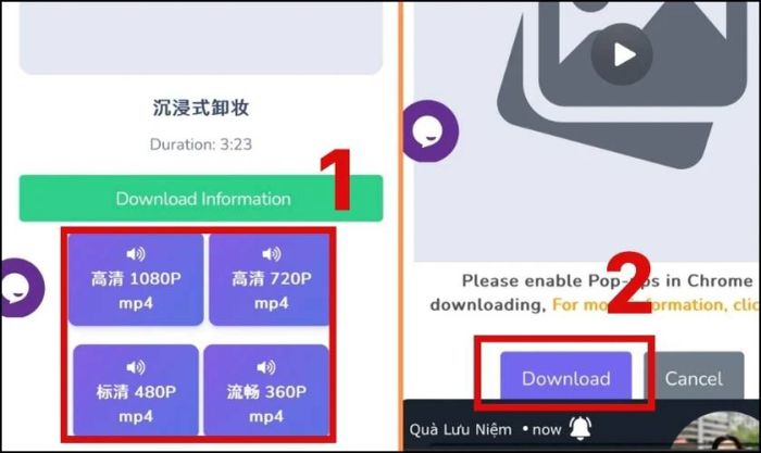 Chọn độ phân giải phù hợp và nhấn vào Download