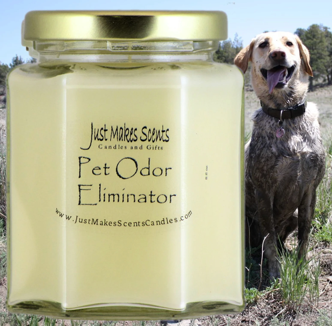 A close-up shot of the candle with a dog visible in the background.