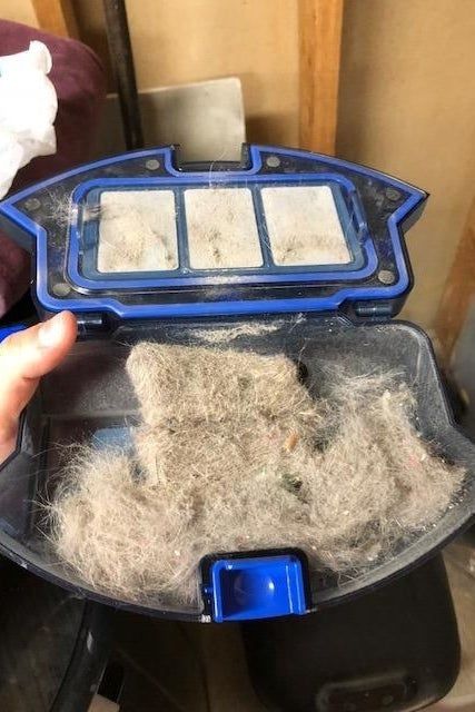 A reviewer showing off how much dust and debris the vacuum has picked up