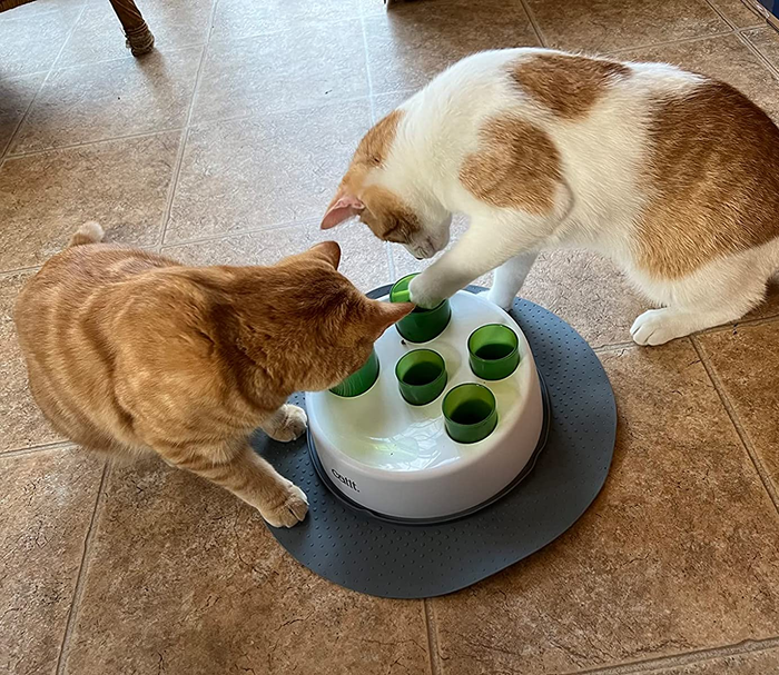 Two cats playing with the interactive food feeder