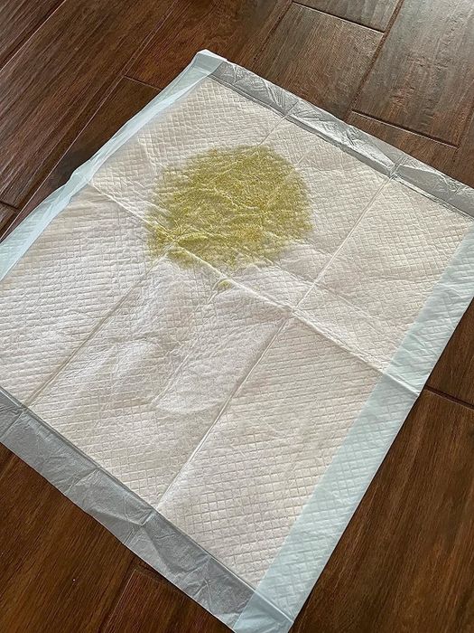 A reviewer’s photo of a used puppy pad.