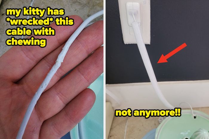 A chewed white cable with accompanying text