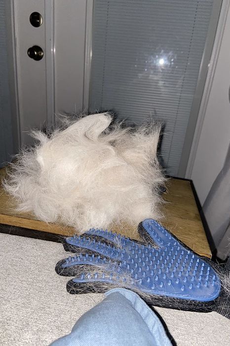 The same reviewer showing off the large pile of fur that collected on the grooming glove.
