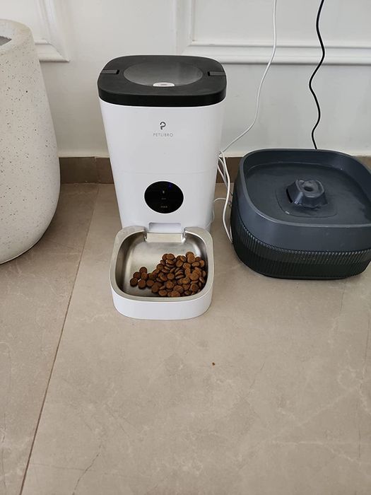A reviewer's feeding station with food in the bowl.