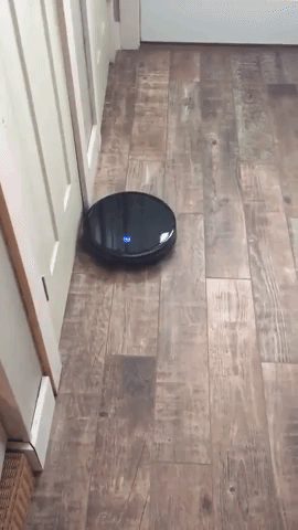 The robotic vacuum cleaning the floor near the wall