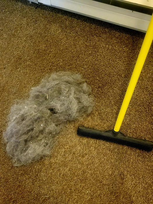 The brush placed next to a pile of pet hair