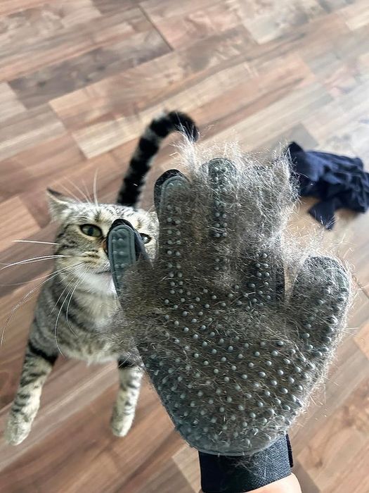 The glove covered in cat fur