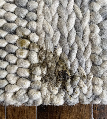 A reviewer photo showing a stain on their rug