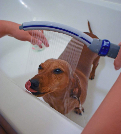 A reviewer demonstrating their dog being bathed with the handheld dog shower attachment