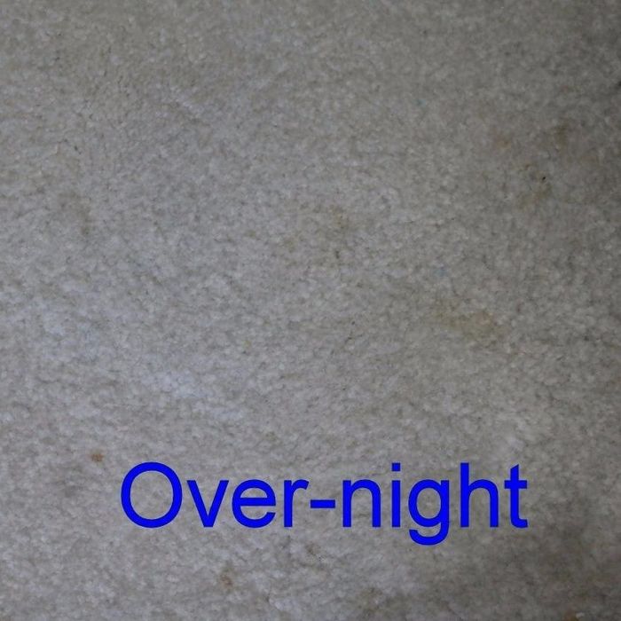 The same reviewer’s carpet after leaving the pad overnight, with the stain completely gone