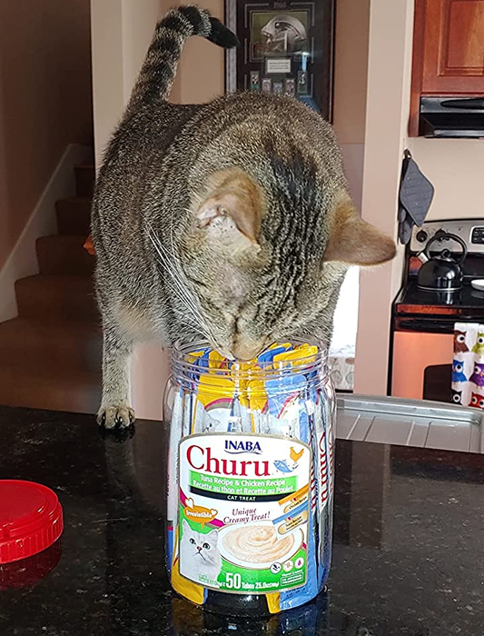 A curious cat sniffing the container of lickable cat treats.
