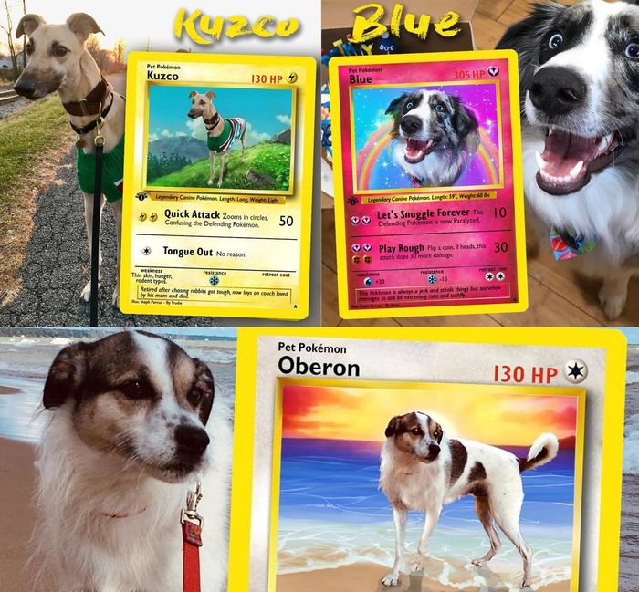 Dogs featured on Pokémon cards, with their own special moves.