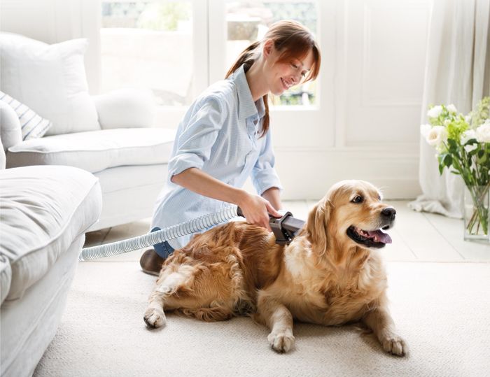 A model demonstrating the use of the grooming attachment to tidy up their dog.