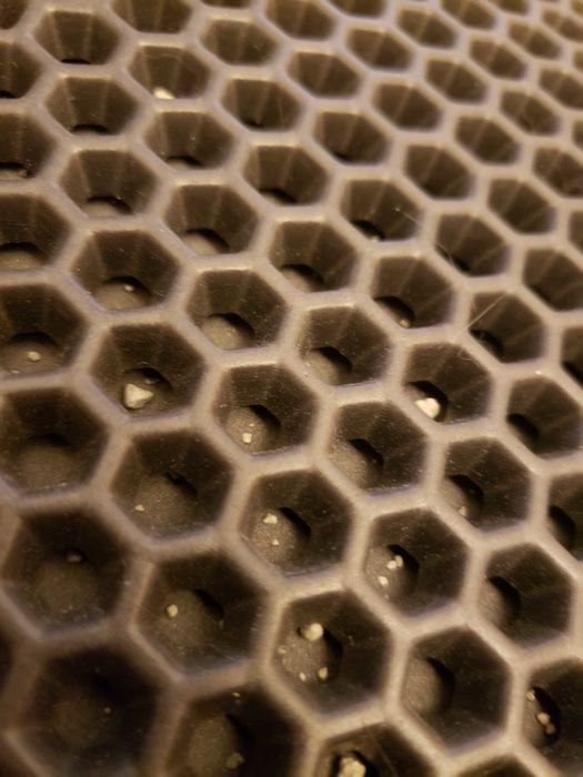 A close-up view of litter caught inside the mat’s honeycomb design.