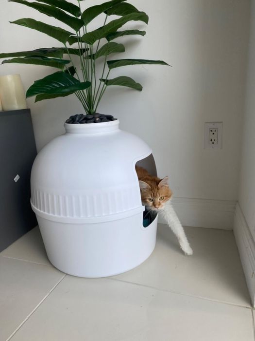 A cat stepping out of a white planter-style litter box.