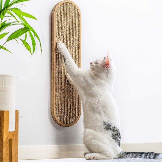 A cat happily scratching an oval, wall-mounted sisal post