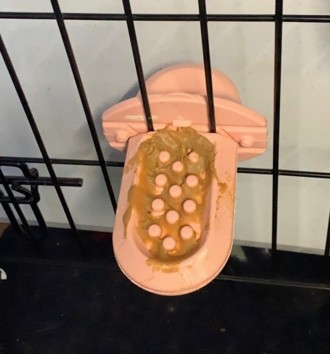 A pink plastic tool clipped to the side of a crate, smeared with peanut butter