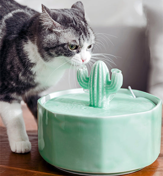 A cat drinking from a light green cactus-shaped water fountain