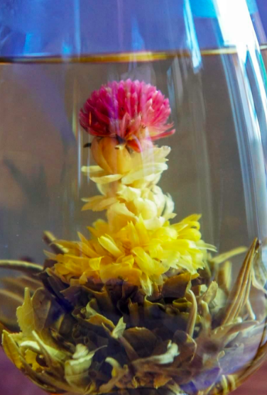 a flower blossoming inside a tea