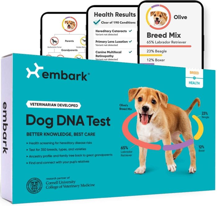 DNA test kit and results displayed on a phone.