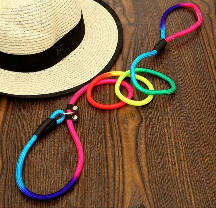 rainbow leash